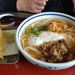 めん処 きりしま茶屋 - 特製うどん