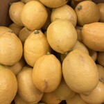 メネフネ - 瀬戸田レモン
広島県尾道市瀬戸田町の農家さんから直接取り寄せてます。
このレモンで、レモネード、レモンサワー、レモンハイボール、レモンのパスタ、メネフネ のお料理に贅沢に使用してます。
あとテイクアウト可能な、レモンケーキ(期間限定)も大人気です。