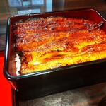 うなぎ 魚政 - うな重、ブランドうなぎ 特上