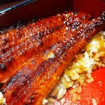 うなぎ 魚政 - うな重、ブランドうなぎ 特上