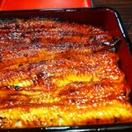 うなぎ 魚政 - うな重、ブランドうなぎ 特上
