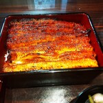 うなぎ 魚政 - うな重、ブランドうなぎ 特上