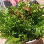 横浜焼肉kintan - 