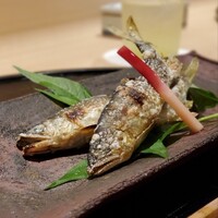 新ばし 星野 - 