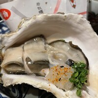 魚斉 - 