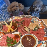 焼肉一七三 向山 - 