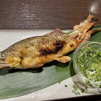 魚斉 - 