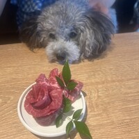 焼肉一七三 向山 - 