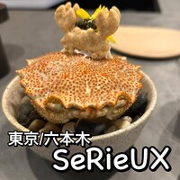 セリュー - 