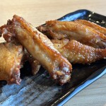 Taishu Izakaya Toriichizu Hon Atsugi Ten