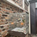 イノダコーヒ - 