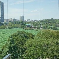 鰻割烹 伊豆栄 本店 -  鰻割烹 伊豆栄 本店 -