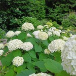 石窯ガーデンテラス - 