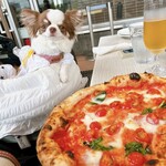 Trattoria&Pizzeria LOGIC - 