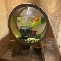 お料理 とみやま - 