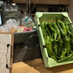 Trattoria Godereccio 新館 - 