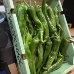 Trattoria Godereccio 新館 - 