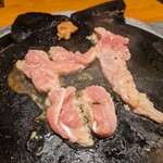 熔岩石焼 酉鳥 - 