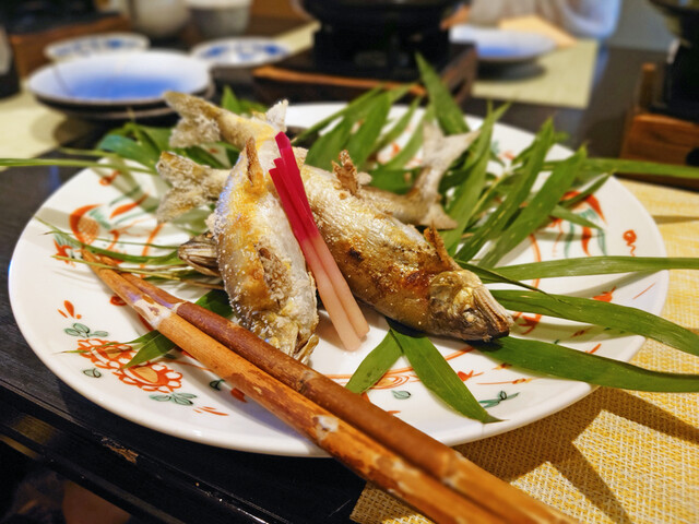 Saryo Hanatoki photo 2