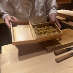 鮨 江藤 - 蟹！！！！