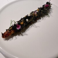 ルカンケ - ホワイトアスパラ。下にはホタルイカのタルタル。とんでもなくうまい