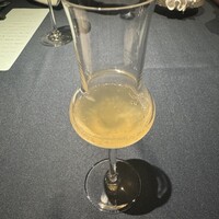 セルサルサーレ - 