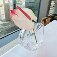 アンティカ オステリア デル ポンテ - 