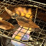 和素材料理とお酒 くさび - 