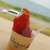 GELATO LicoLico 厚田店