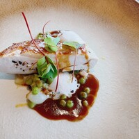 International cuisine subzero - 
