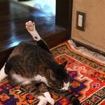 鹿教湯 三水館 - 