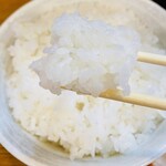 カジュアル食堂 レスト アドル - 