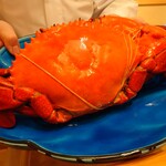 是しん - のこぎりガザミ