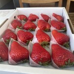 プリンス オブ ザ フルーツ - 