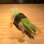 まぐろ人 - 芽ねぎ