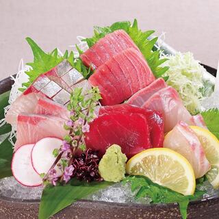 近大卒の魚学園を卒業した魚たち！