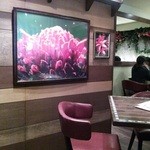 Ajiambisutoro Dai - オリエンタルな花の絵や写真が飾られています。