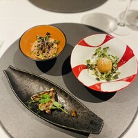 ニシデリア - 