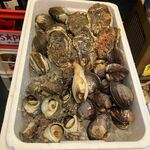 蓮 - 本日朝仕入れた海鮮