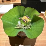 日本料理 晴山 - 