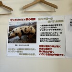 とんかつ 牡丹 - 