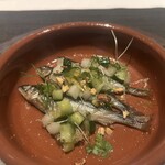 ノガラッツァ - 