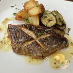 ヴィッラ マニョーリア - 