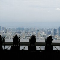 松阪牛 よし田 - 