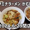 スタミナラーメン がむしゃ - 