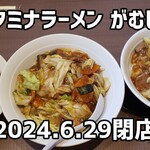 スタミナラーメン がむしゃ - 