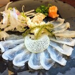 和食処 大ばん - 天然トラフグ薄造り