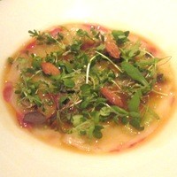 THE COSMOPOLITAN GRILL BAR TERRACE - ぶりのカルパッチョ