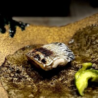 鮨 にっこ - タチウオ。 江戸前の焼き魚と言えば、これが定番。 なのに、なぜか、焼いたタチウオ、お久しぶり。 ものすごく繊細な白身故、意外と火入れが難しいタチウオ。 柔らかで、ふわふわで歯がなくても食べれてしまいそうなほどの とろり感さえ。 「一生、大事にするから」って告ってしまいそうになるぜ。 ウリの浅漬がまた旨い。