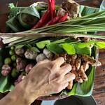 Bali Asli - 香り高いバリの香辛料